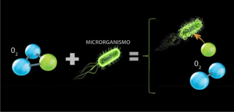 como-o-ozonio-age-em-microrganismos-humano